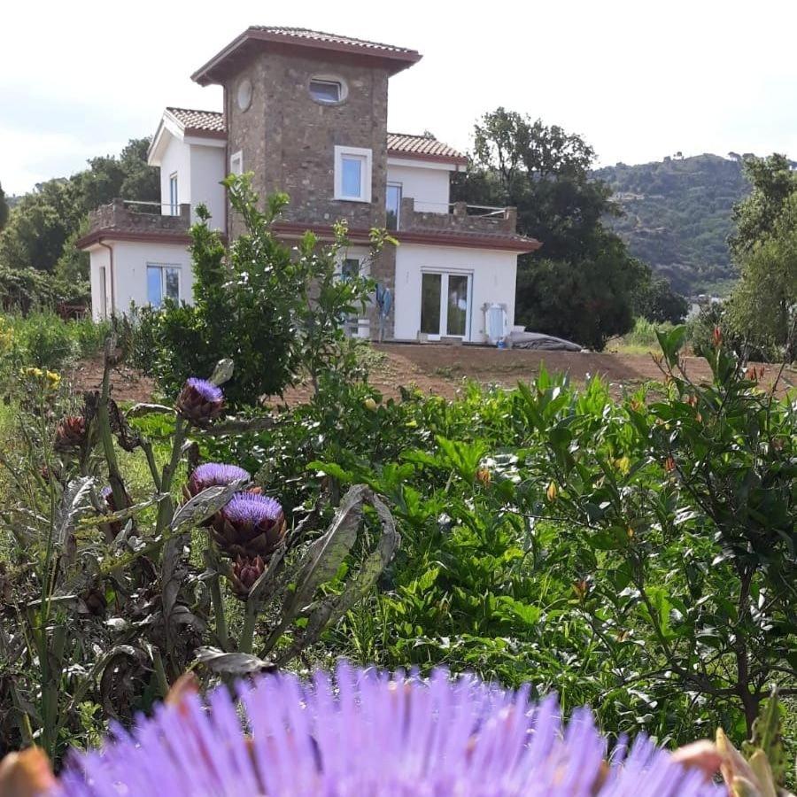B&B Il Sogno Санта-Мария-ди-Кастеллабате Экстерьер фото