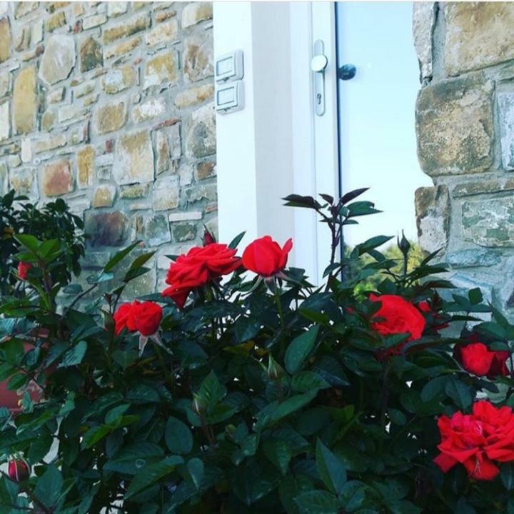 B&B Il Sogno Санта-Мария-ди-Кастеллабате Экстерьер фото